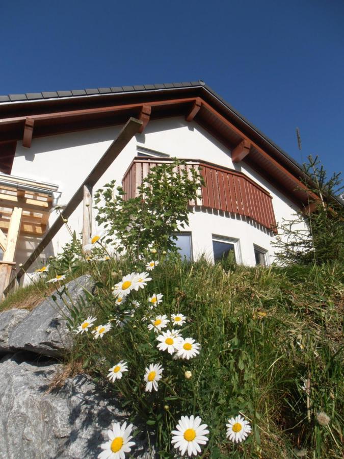 Arlalpin Daire Pettneu am Arlberg Dış mekan fotoğraf